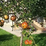 Il Melograno Aparthotel